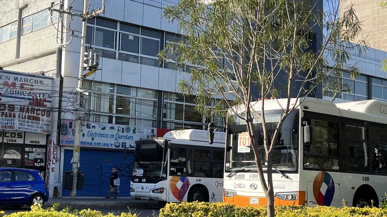 Transporte se renovará a la par con obra de 5 de febrero en Querétaro.