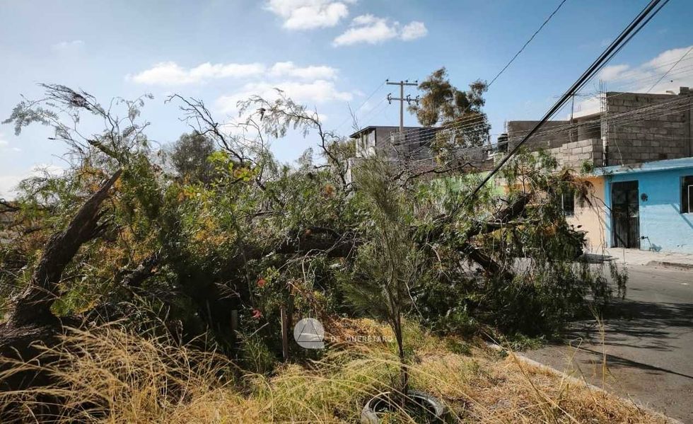 \u00c1rbol ca\u00eddo sobre camioneta tras fuertes vientos en colonia La Sierrita, Quer\u00e9taro, con personal de Protecci\u00f3n Civil atendiendo la emergencia