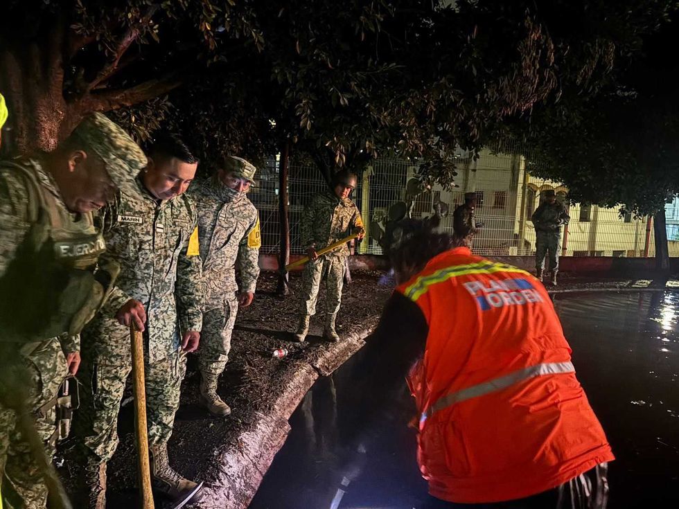 \u00c1rbol derribado por r\u00e1fagas de viento sobre vialidad en colonia del sur de Quer\u00e9taro capital