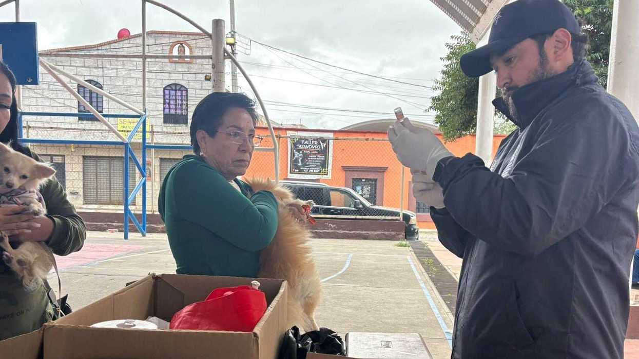 Un aplicador con guantes prepara la vacuna antirrábica mientras una vecina sostiene a su perro durante la jornada en San Pedro Ahuacatlán, San Juan del Río.