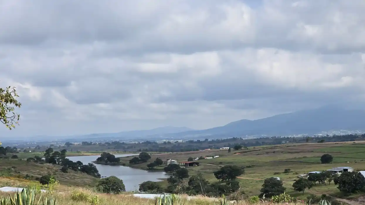 Un cuerpo de agua en un paisaje rural con campos de cultivo, árboles y magueyes en primer plano y montañas al fondo