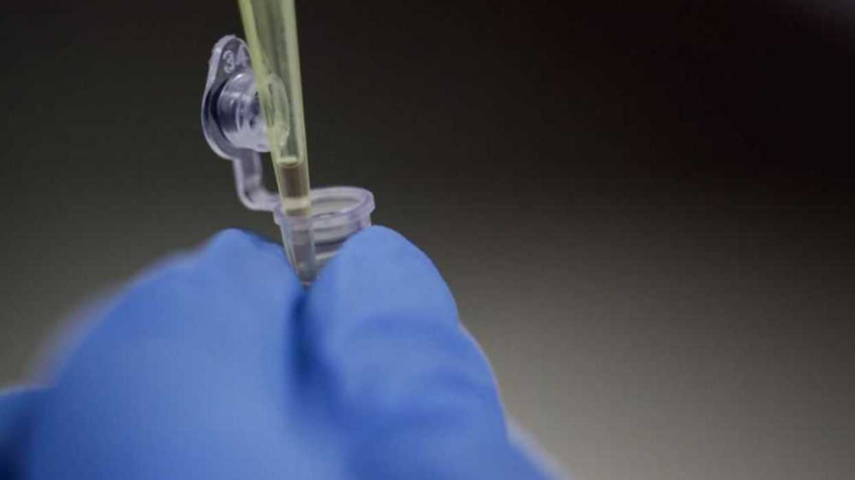 Un estudio revela que los virus envueltos con una cubierta lipídica, como los de la gripe, el VIH o el coronavirus, pueden infectar mejor a diferentes especies de animales, incluidos los humanos. EFE/ Jeffrey Arguedas.