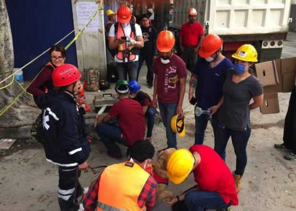 unam mantiene atencion gratuita a mascotas afectadas sismo 2