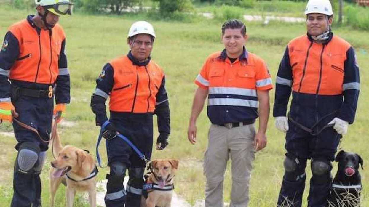 unidad-canina-de-pc-guerrero-preparada-para-participar-en-siniestros-2.jpg
