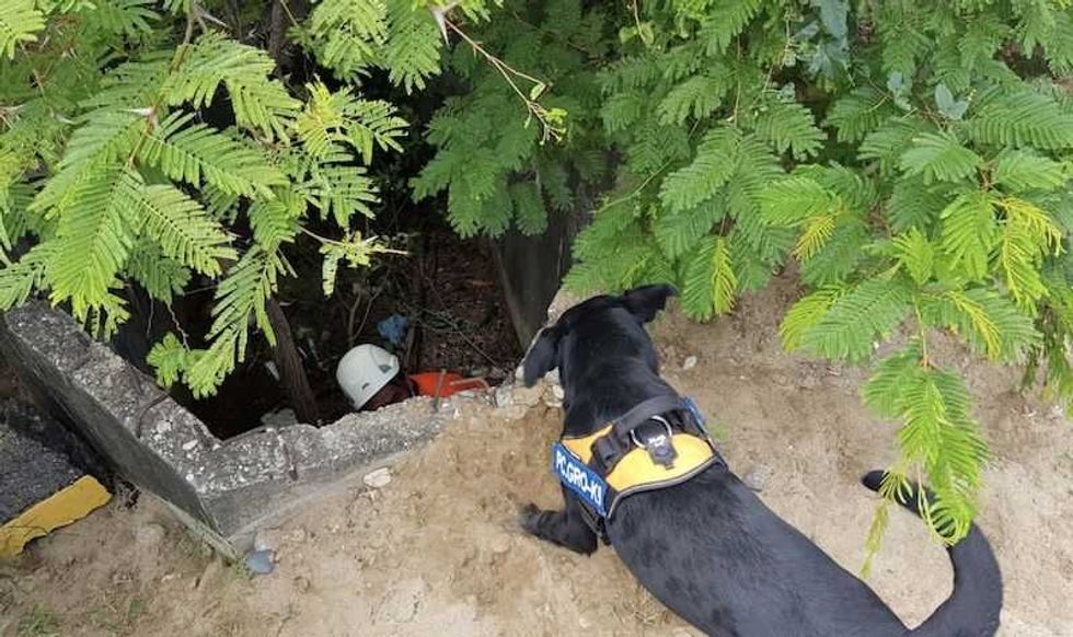 unidad canina de pc guerrero preparada para participar en siniestros 3