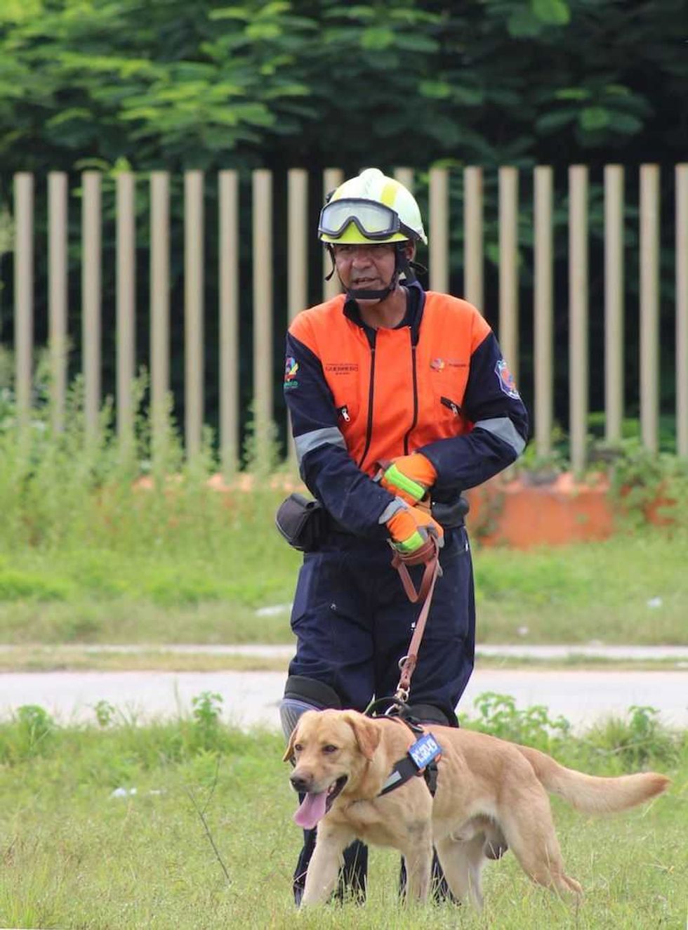 unidad canina de pc guerrero preparada para participar en siniestros