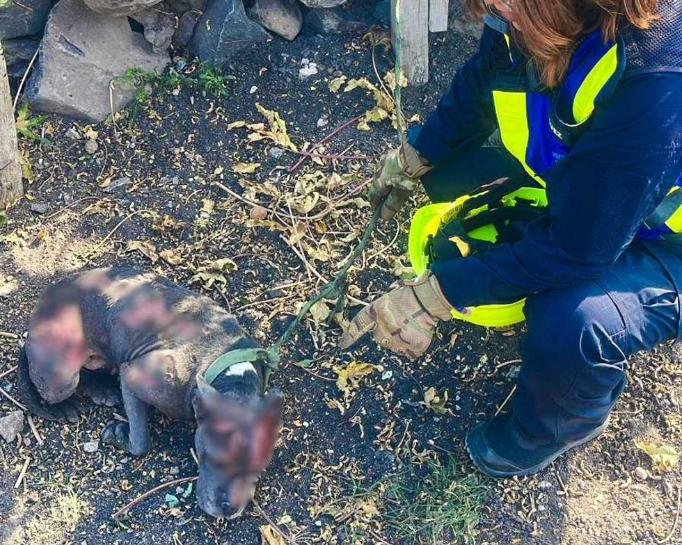 Unidades de Protecci\u00f3n Civil y Bomberos atienden incendio en predio bald\u00edo de la colonia El Romerillal en Quer\u00e9taro