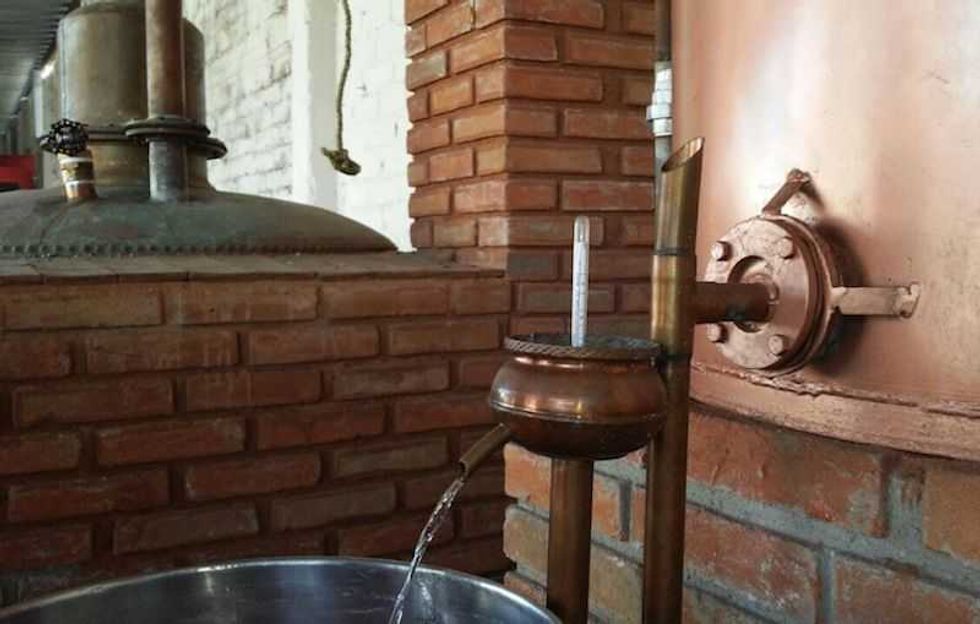 union de productores de destilados con denominacion favor de apertura 4