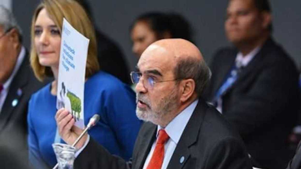 urge-fao-adoptar-medidas-sostenibles-para-produccion-agricola