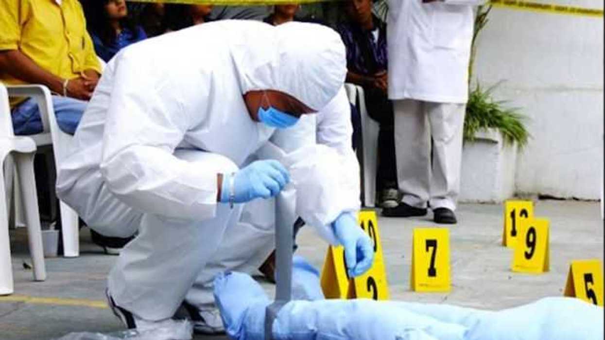 urgen-a-mejorar-ciencias-forenses-en-mexico