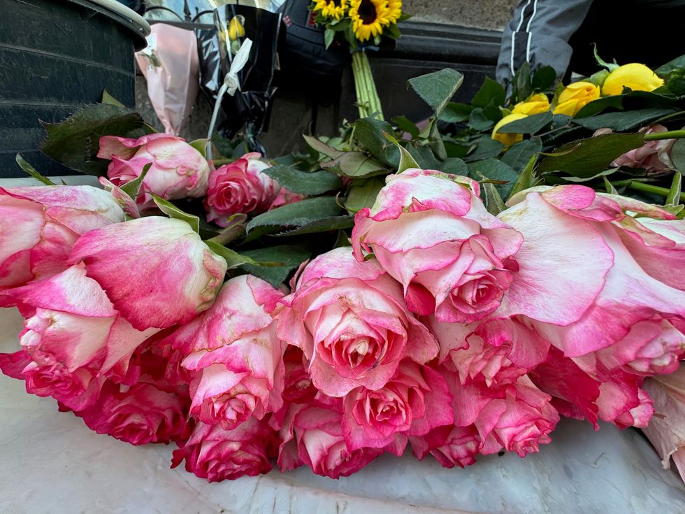 Vendedor de rosas en el Jard\u00edn de la Familia de San Juan del R\u00edo ofrece la docena desde 120 pesos para el D\u00eda del Amor y la Amistad 2026
