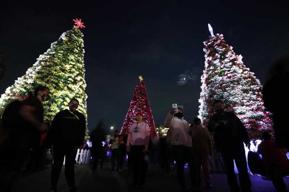 verbena navidena cdmx efe3