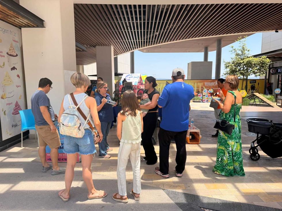 Veterinaria de la Secretar\u00eda de Bienestar Animal del Municipio de Quer\u00e9taro durante jornada de esterilizaci\u00f3n gratuita en delegaci\u00f3n de la capital