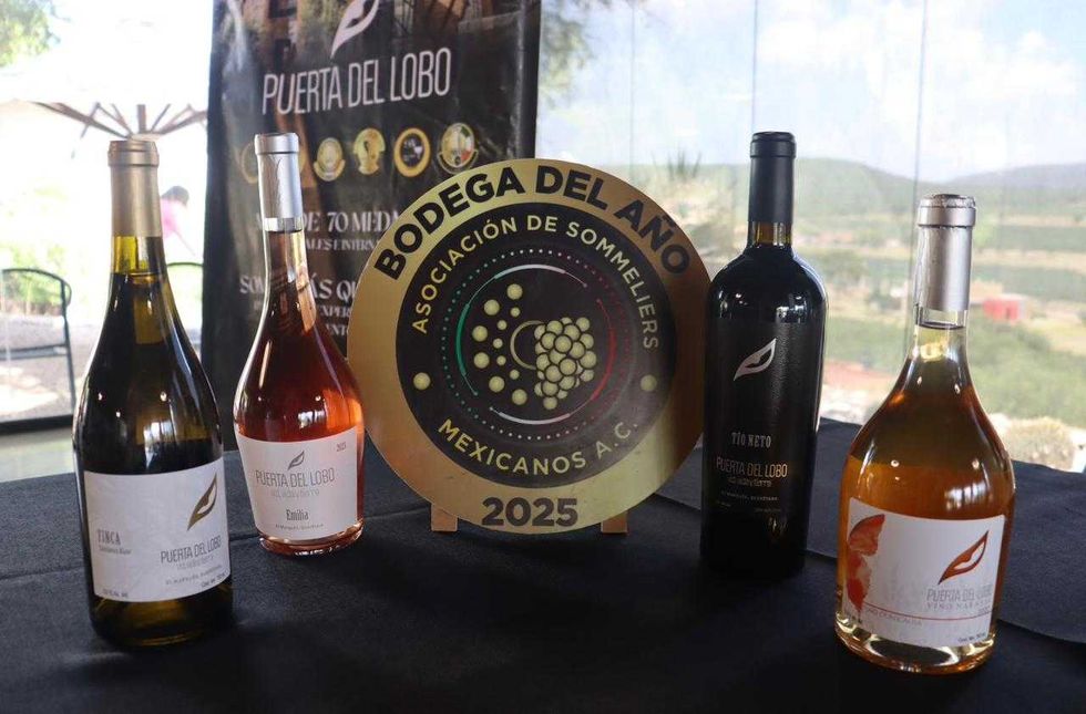 Vi\u00f1edo Puerta del Lobo en El Marqu\u00e9s Quer\u00e9taro durante temporada de vendimias 2026