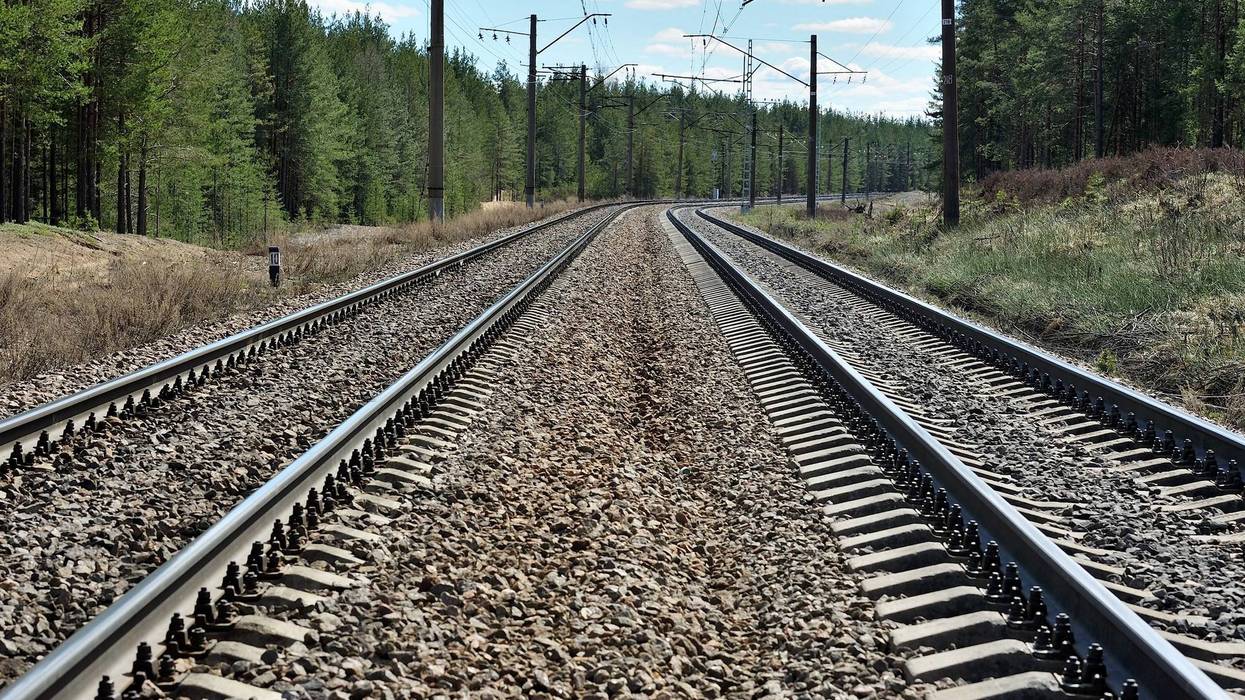 Vía férrea doble con postes y bosque de pinos al fondo, imagen ilustrativa de las obras del Tren México-Querétaro