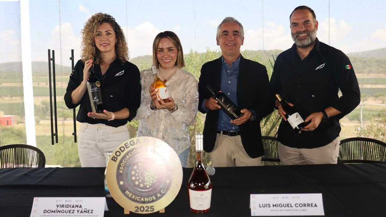 Viñedo Puerta del Lobo en El Marqués Querétaro durante temporada de vendimias 2026