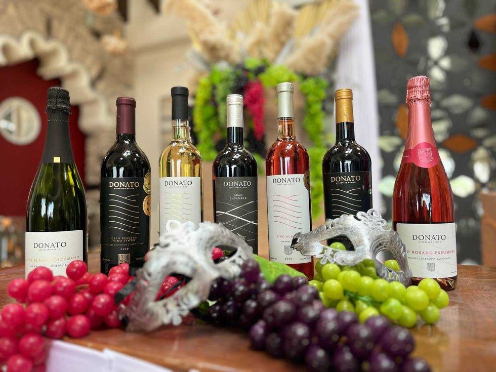 Viñedos Donato: Un festín para los amantes del vino y la gastronomía.