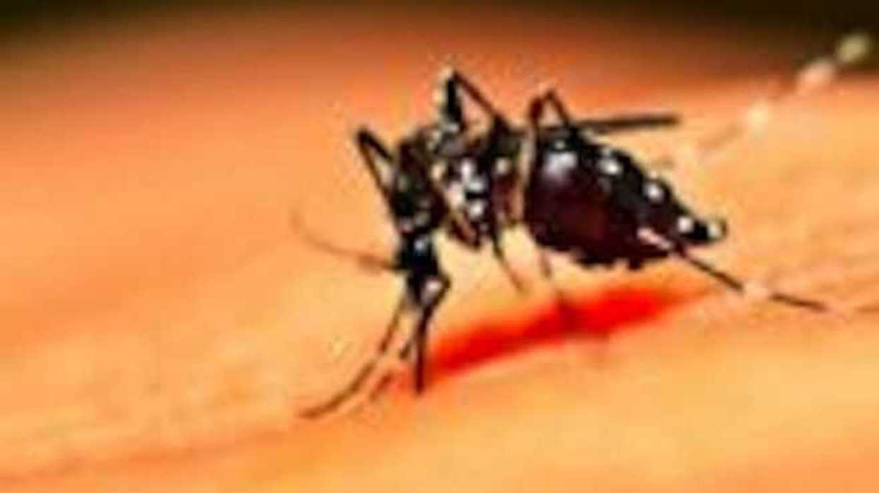 virus-del-zika-podria-costar-a-brasil-4-5-mil-mdd-en-dos-anos