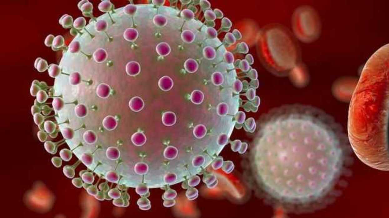 virus-son-responsables-del-20-por-ciento-de-los-canceres.jpg
