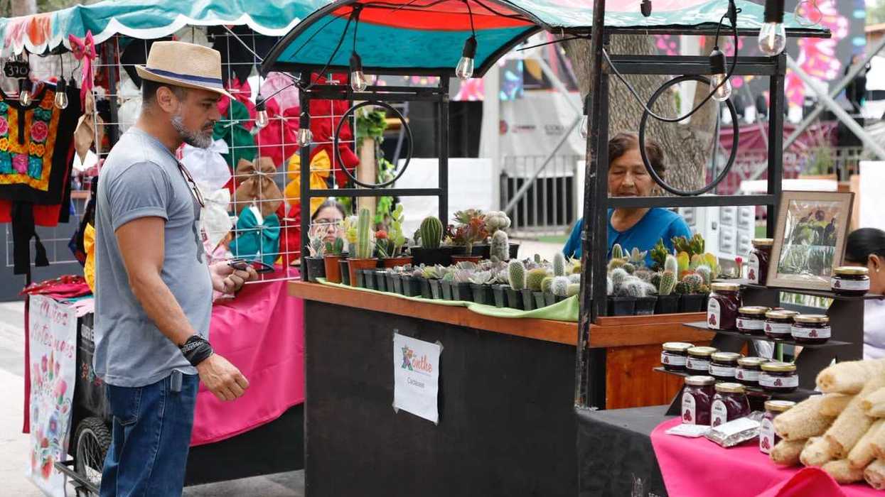 Visitante observa carrito artesanal con cactáceas y mermeladas en el Festival Xönthe Colón 2026