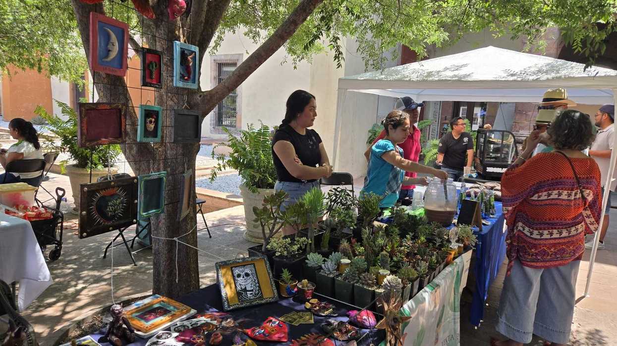 Visitantes exploran puestos de artesanías y plantas en el Bazar Ar Tai en el CEART de Querétaro