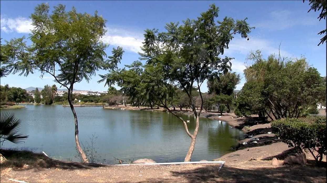 Vista aérea del Parque Intraurbano La Queretana en Querétaro, con sus lagos artificiales y zonas verdes en la delegación Félix Osores