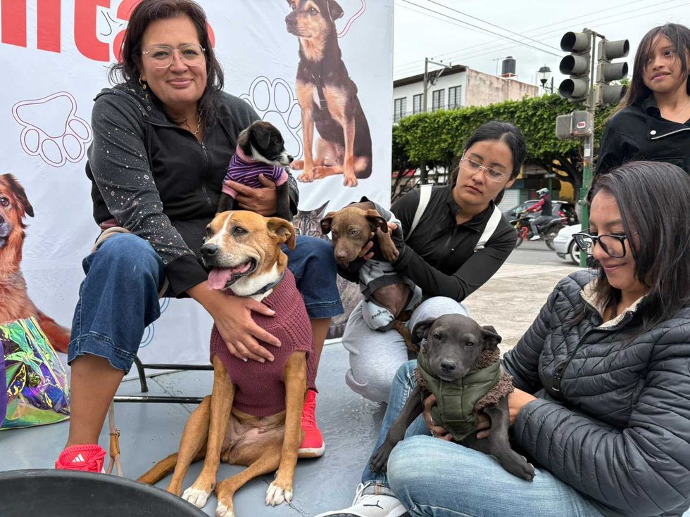 Voluntarias y perros con su\u00e9ter frente a la lona del festival, con transportadoras a un lado