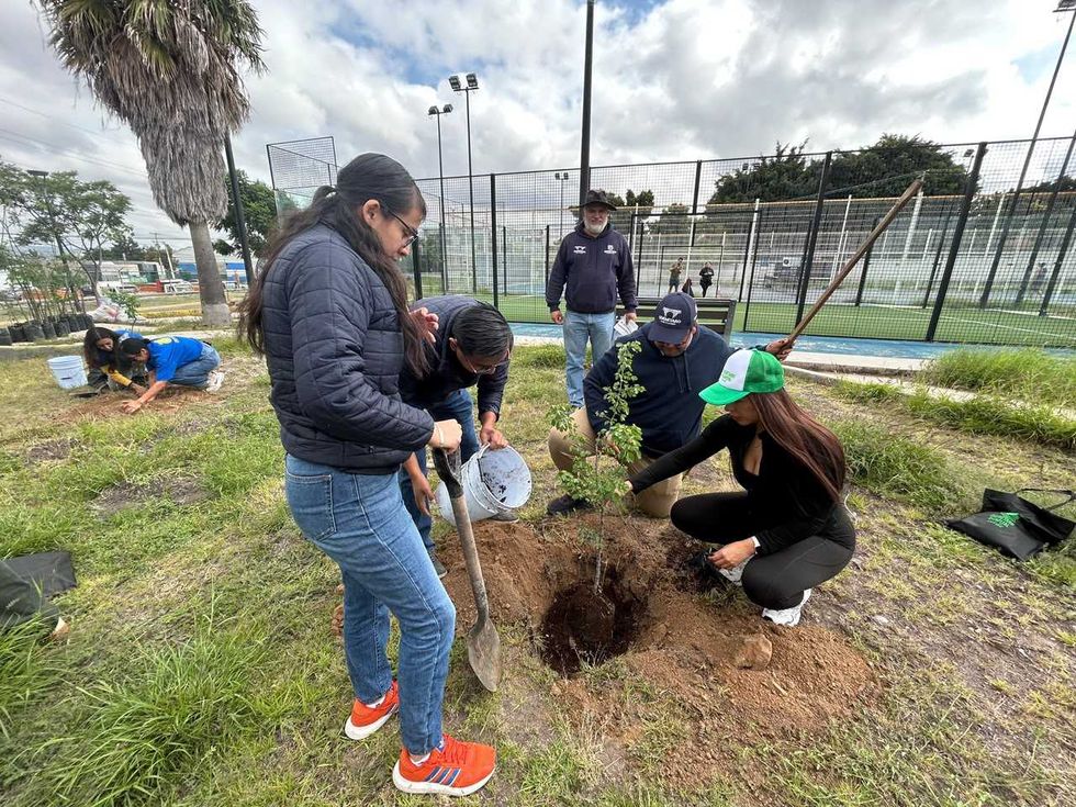 Voluntarios con gorras verdes junto a un \u00e1rbol joven durante la plantaci\u00f3n en Quer\u00e9taro