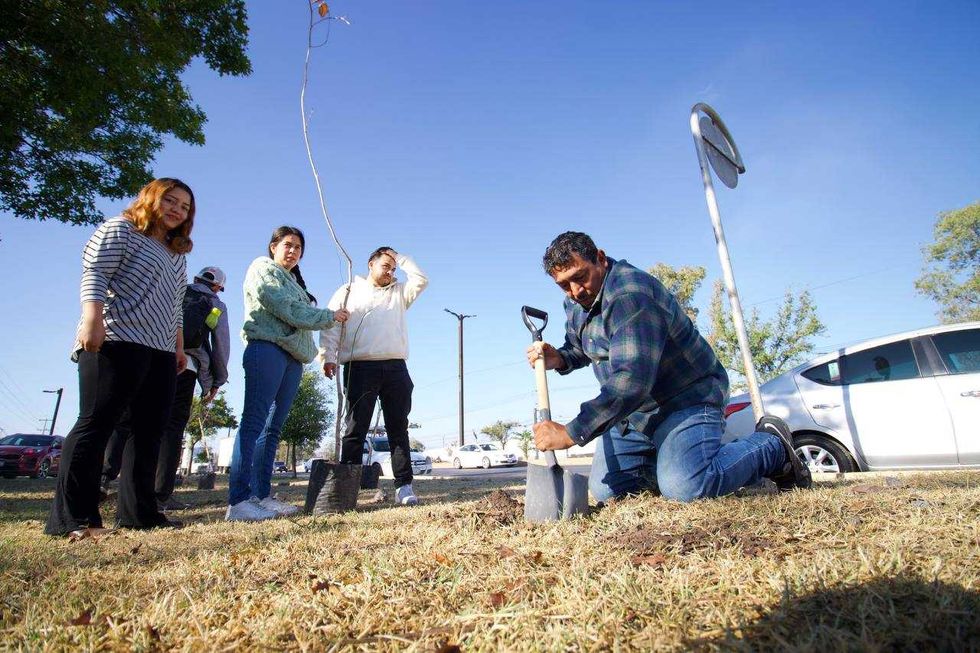 Voluntarios siembran \u00e1rboles durante reforestaci\u00f3n en Paseo Central de San Juan del R\u00edo 2026