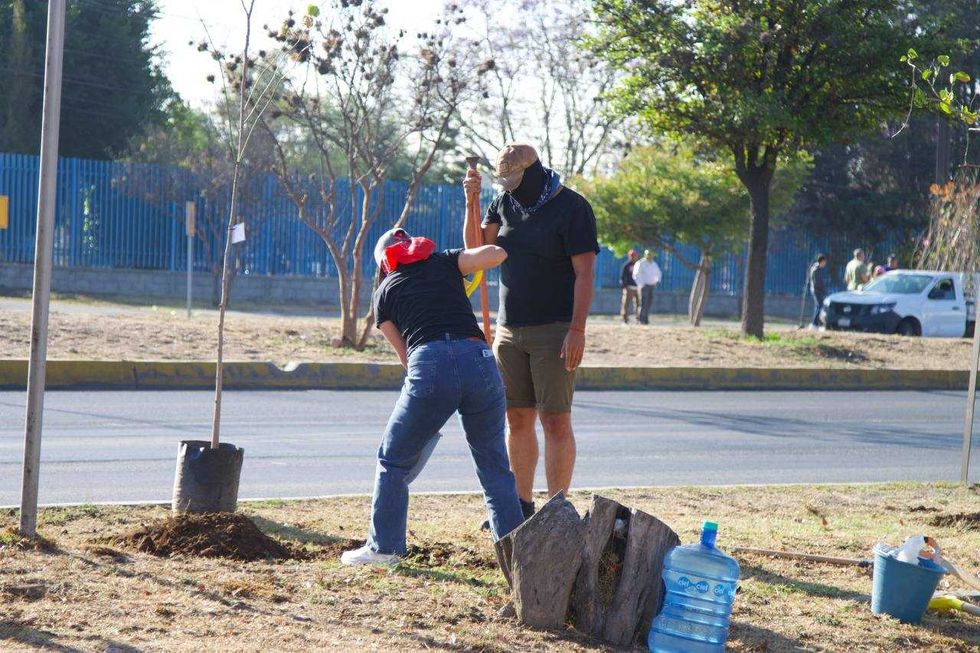Voluntarios siembran \u00e1rboles durante reforestaci\u00f3n en Paseo Central de San Juan del R\u00edo 2026