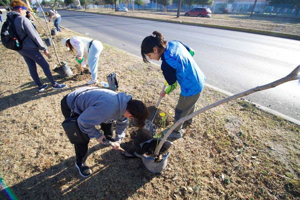 Voluntarios siembran \u00e1rboles durante reforestaci\u00f3n en Paseo Central de San Juan del R\u00edo 2026