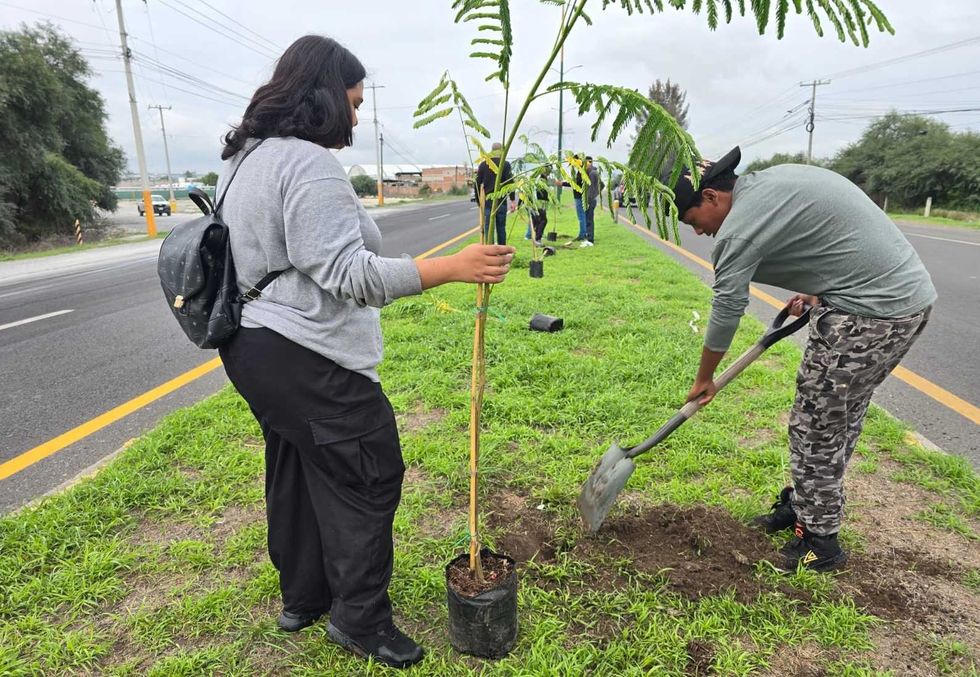 Voluntarios y personal del Gobierno Municipal plantan \u00e1rboles nativos en el camell\u00f3n frente al Centro Expositor de San Juan del R\u00edo.