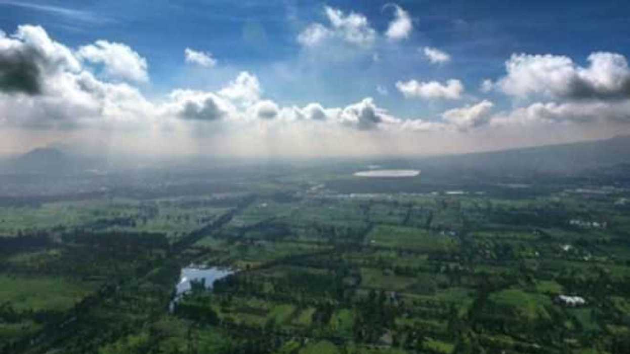 xochimilco-reporta-2500-arboles-sembrados-en-ultimo-trimestre