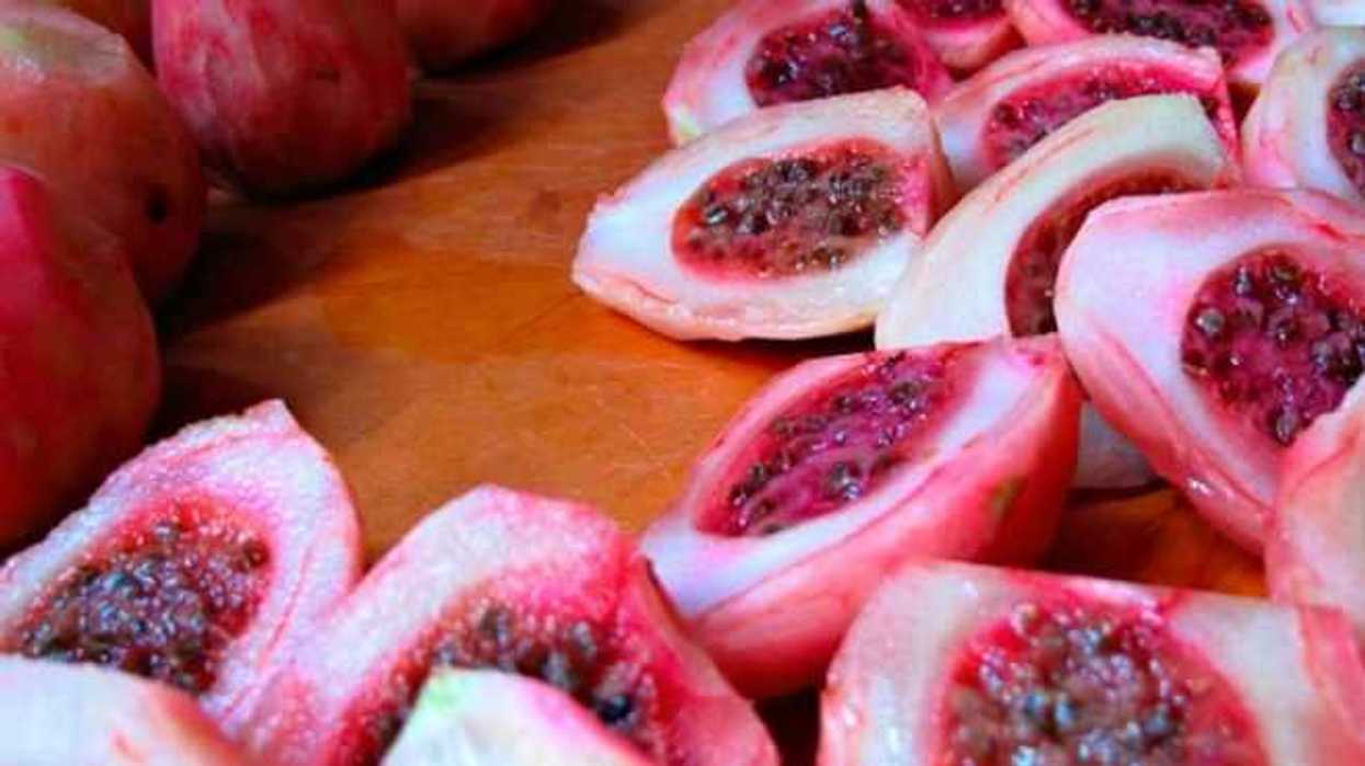 xoconostle-del-desierto-mexicano-a-nuestra-mesa