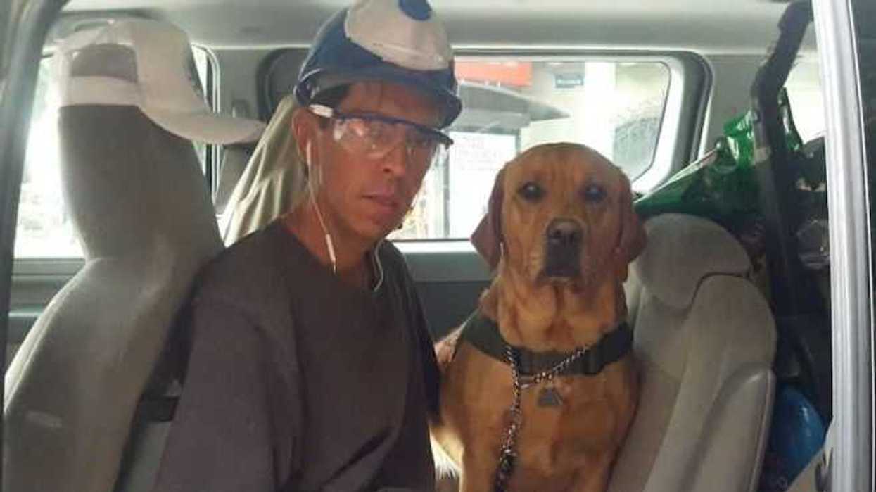 yona-la-rescatista-de-cuatro-patas