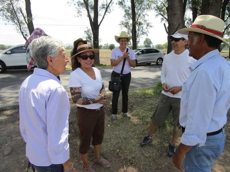 zarzamoras senegal de palomas 10