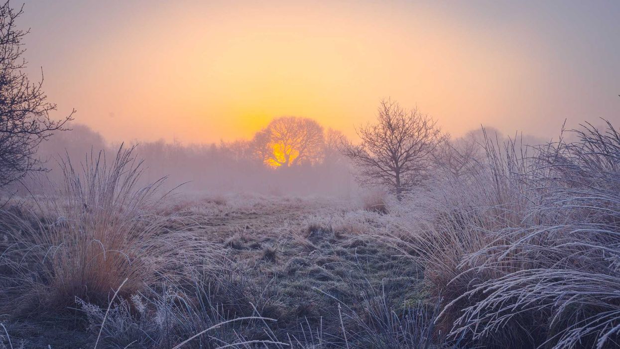 Zonas altas de Querétaro donde se pronostican heladas. Las bajas temperaturas afectan principalmente a municipios serranos de la entidad.