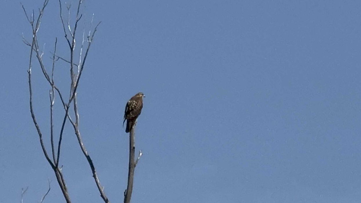 Zonas serranas de Querétaro registrarán heladas con temperaturas de -5 a 0°C durante la mañana. El viento alcanzará rachas de hasta 35 km/h.
