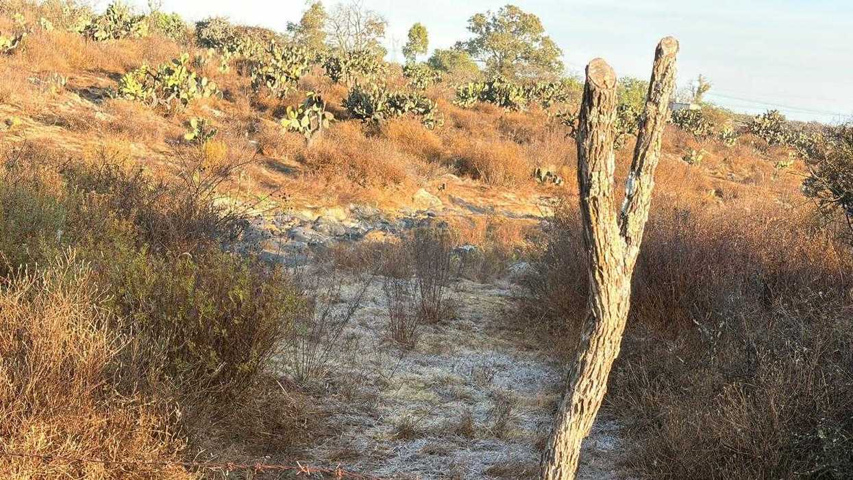 Zonas serranas de Querétaro registrarán temperaturas de hasta -5 grados Celsius con heladas según pronóstico de Conagua