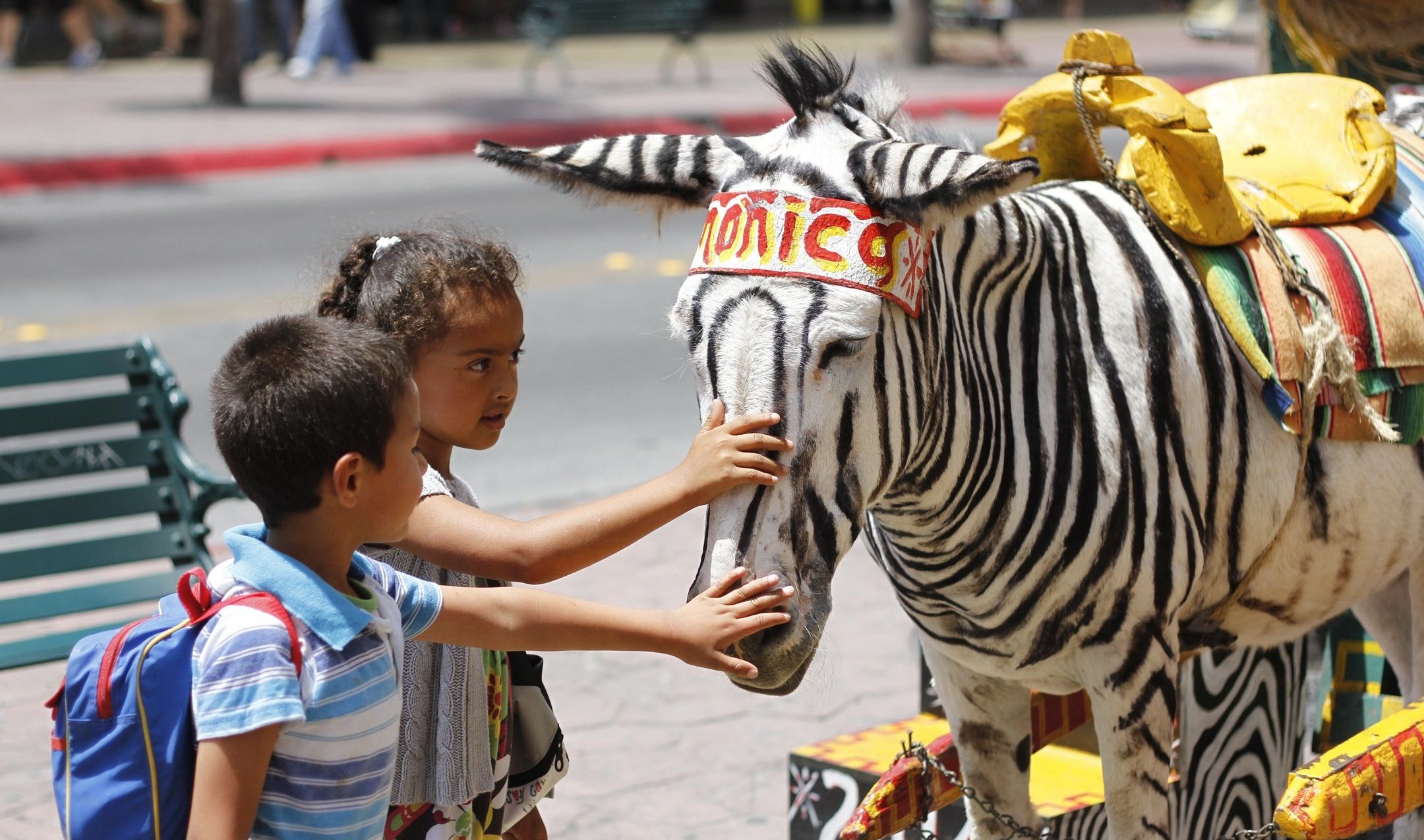 Donkey Show Tijuana