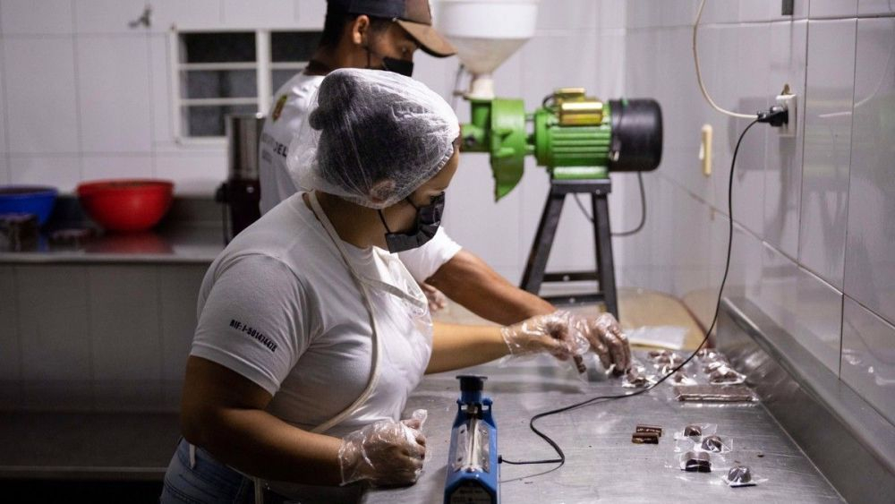 De una pequeña hacienda de cacao venezolano para el mundo, soñar en grande. EFE/ Rayner Peña R.