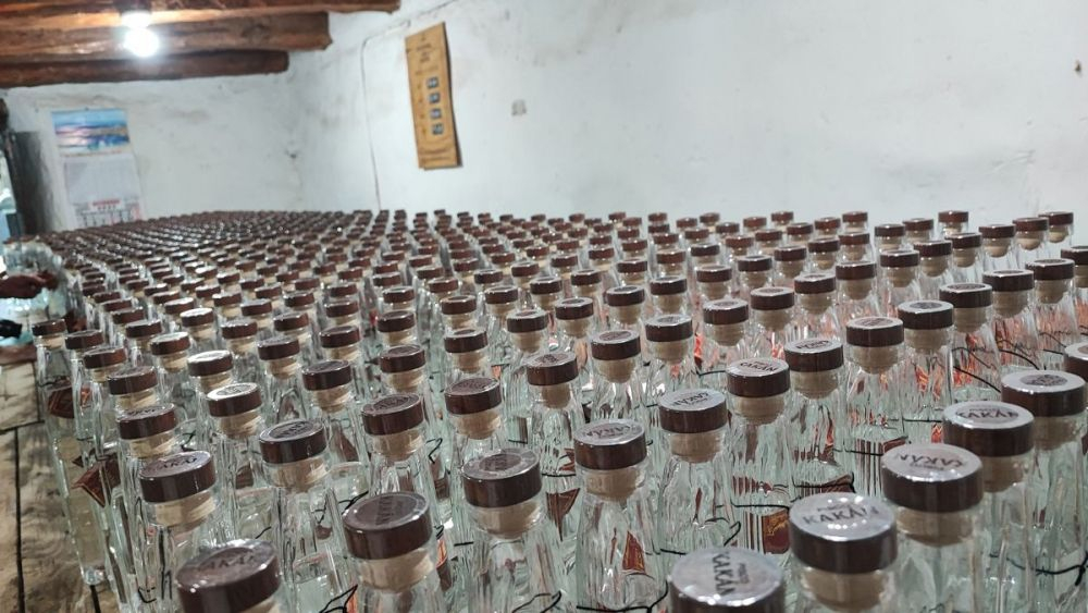 Fotografía de decenas de botellas en destilaría pisquera de Chañaral de Caren, en la comuna de Monte Patria, Valle de Limarí, el 15 de diciembre, en Ovalle región de Coquimbo (Chile). EFE/Iñaki Martinez.