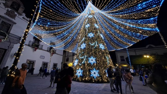 Árbol plaza de Armas. Foto: Paulina Rosales.