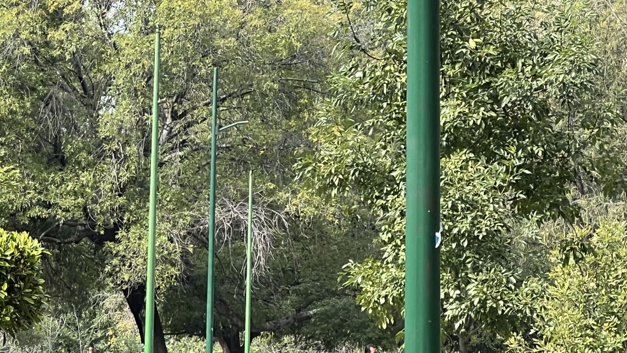 Parque ‘Paseo de los abuelos’ en completo abandono en San Juan del Río.