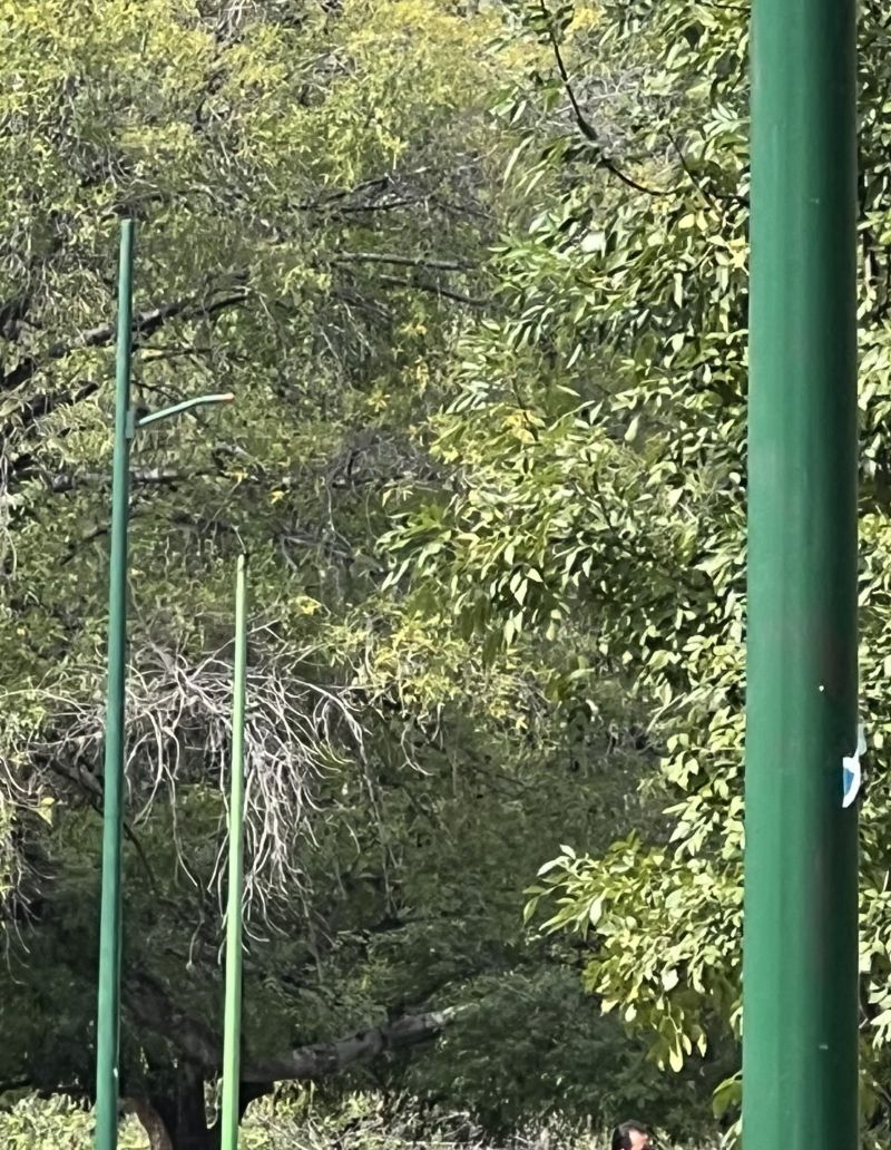 Parque ‘Paseo de los abuelos’ en completo abandono en San Juan del Río.