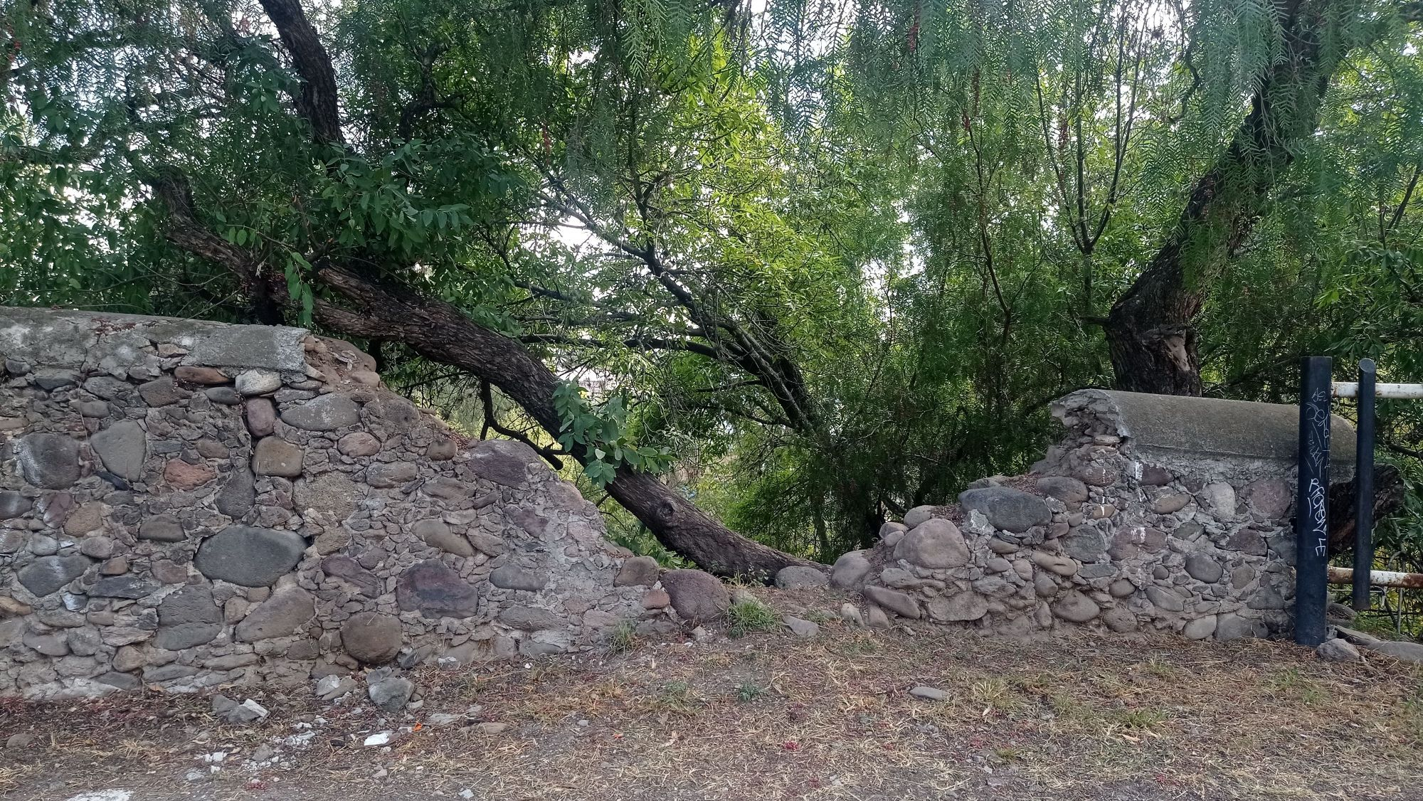 Parque ‘Paseo de los abuelos’ en completo abandono en San Juan del Río.