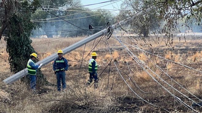 Criminales incendios forestales causan estragos ambientales y de servicios en San Juan del Río.