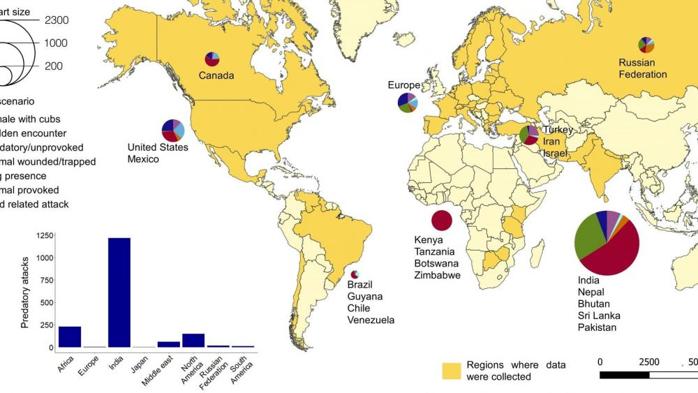 Los ataques de grandes carnívoros son más peligrosos en países con menos ingresos. EFE/MNCN-CSIC.