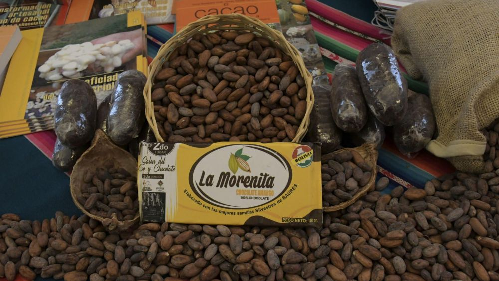 Bolivia quiere revalidar su sitial entre los mejores cacaos del mundo. EFE/Stringer.