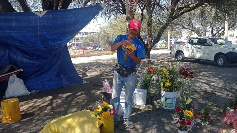 Venta de flores de temporada con bajas expectativas en San Juan del Río.